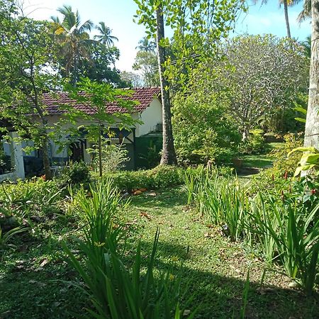 Freedom192 Hotel Weligama Eksteriør billede