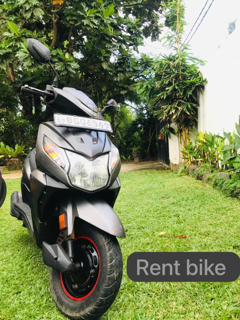 Freedom192 Hotel Weligama Eksteriør billede