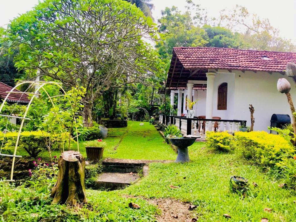 Freedom192 Hotel Weligama Eksteriør billede