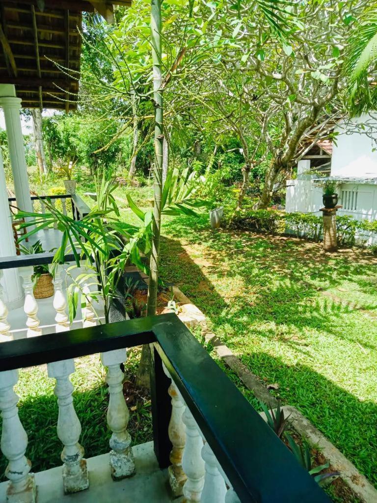 Freedom192 Hotel Weligama Eksteriør billede