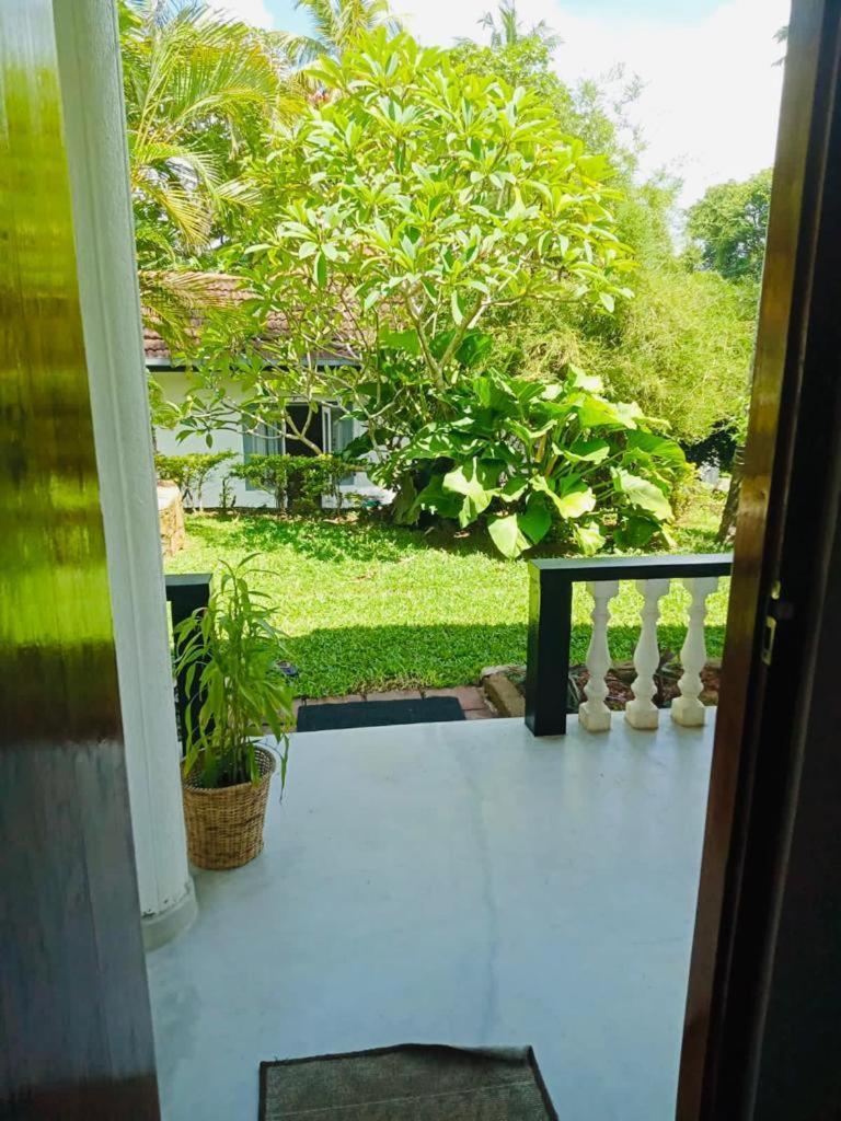 Freedom192 Hotel Weligama Eksteriør billede