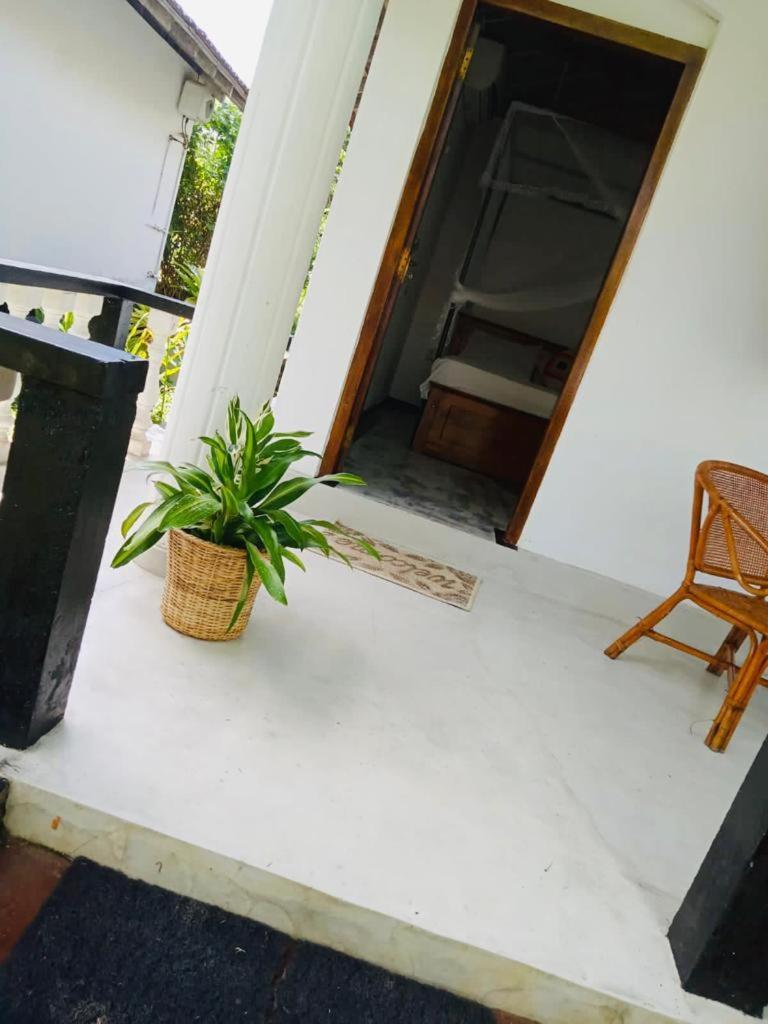 Freedom192 Hotel Weligama Eksteriør billede