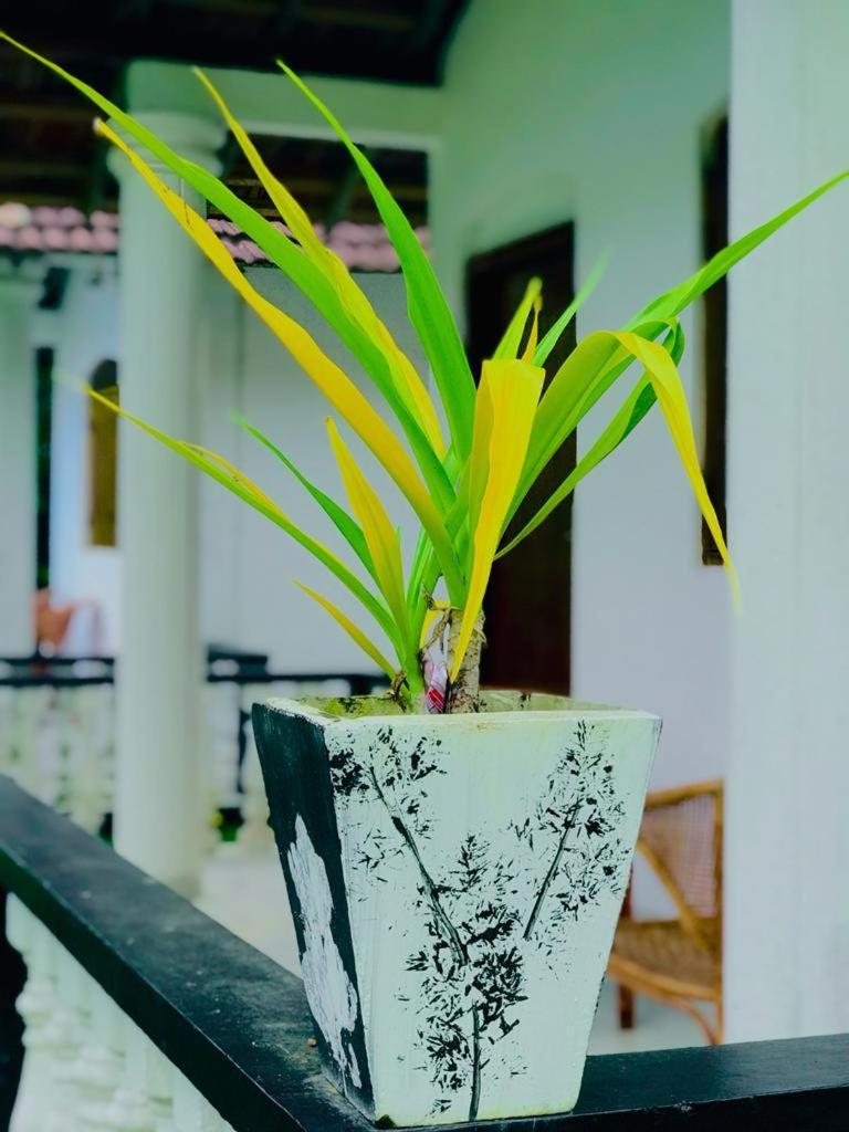 Freedom192 Hotel Weligama Værelse billede