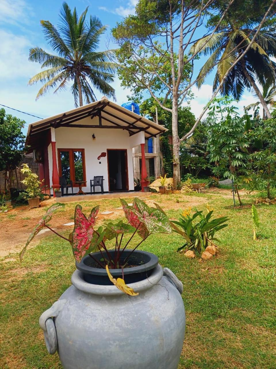 Freedom192 Hotel Weligama Eksteriør billede