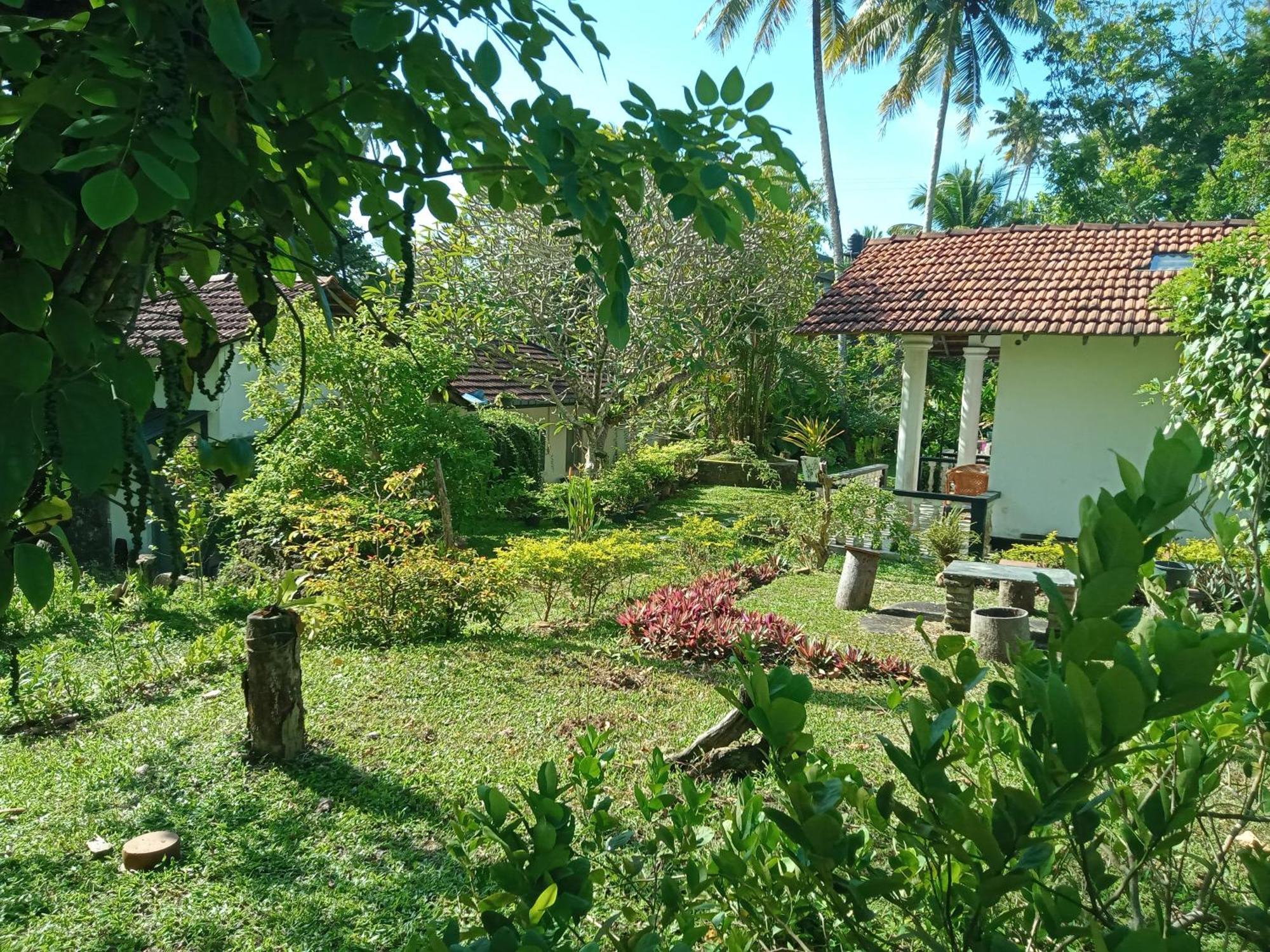Freedom192 Hotel Weligama Eksteriør billede