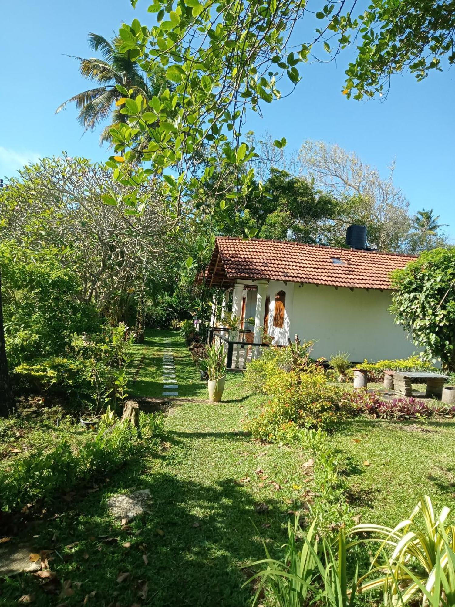 Freedom192 Hotel Weligama Eksteriør billede